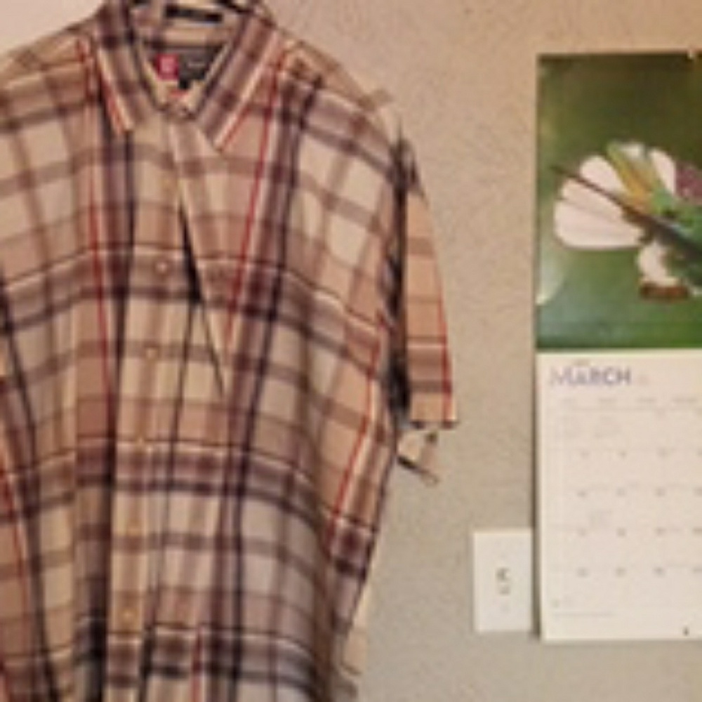 Button down collar short